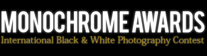 Monochromatic logo